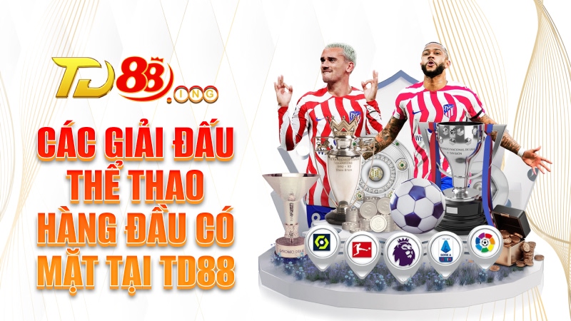Các giải đấu thể thao hàng đầu có mặt tại TD88