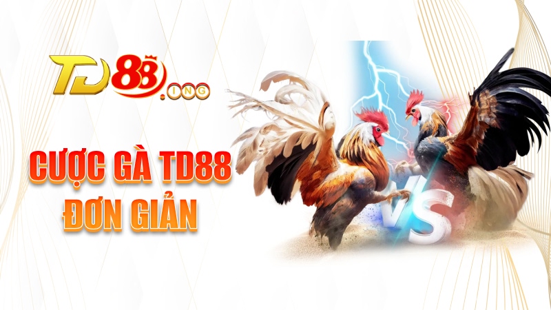 Cược gà TD88 đơn giản