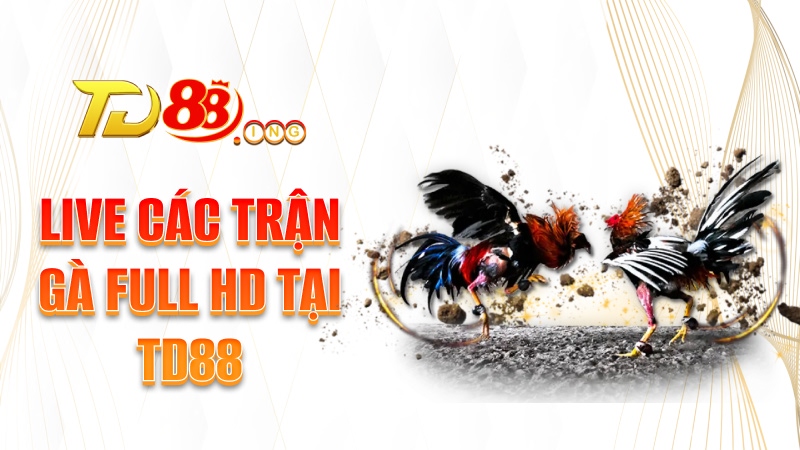 Live các trận gà full HD tại TD88