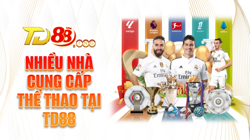 Nhiều nhà cung cấp thể thao tại TD88