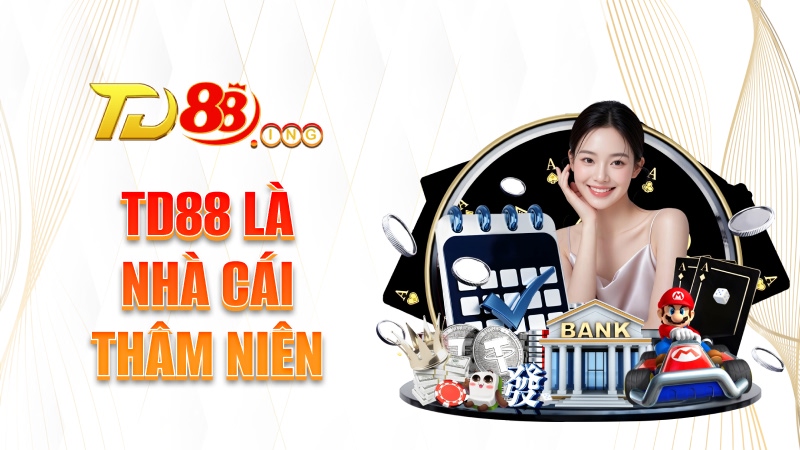 TD88 là nhà cái thâm niên