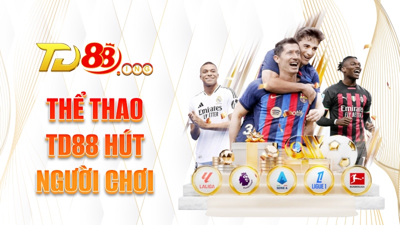 Thể thao TD88 hút người chơi