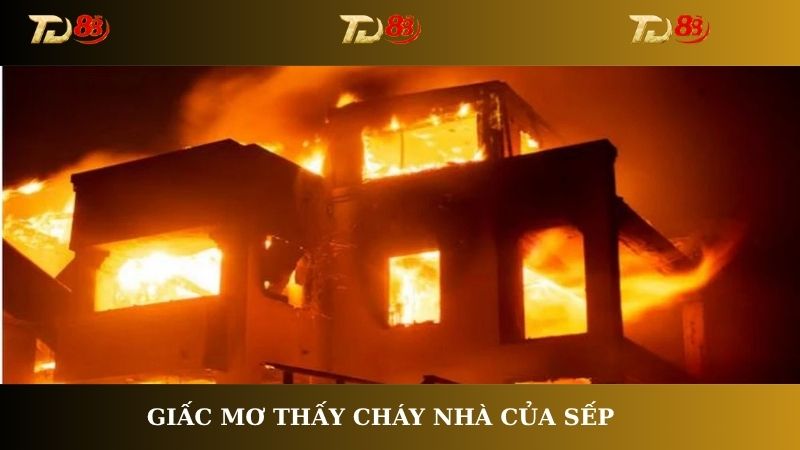 Giấc mơ thấy cháy nhà của sếp