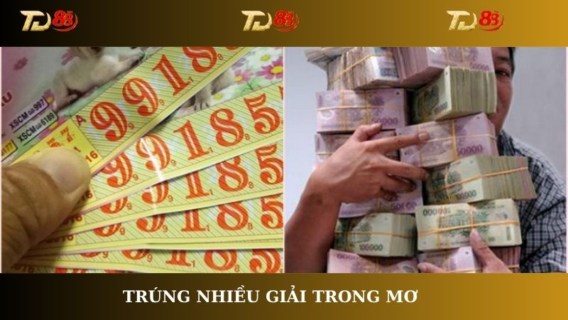 Trúng nhiều giải trong mơ