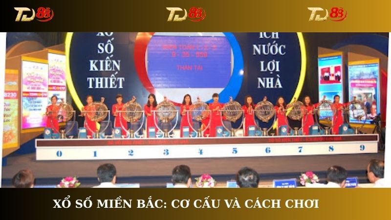 Xổ số miền Bắc: Cơ cấu và cách chơi dễ trúng lớn mỗi ngày