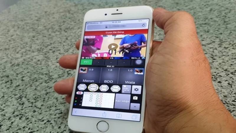 Tham gia cược đá gà cựa sắt dễ dàng